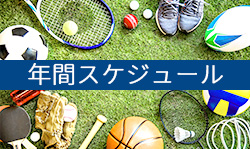 年間スケジュール